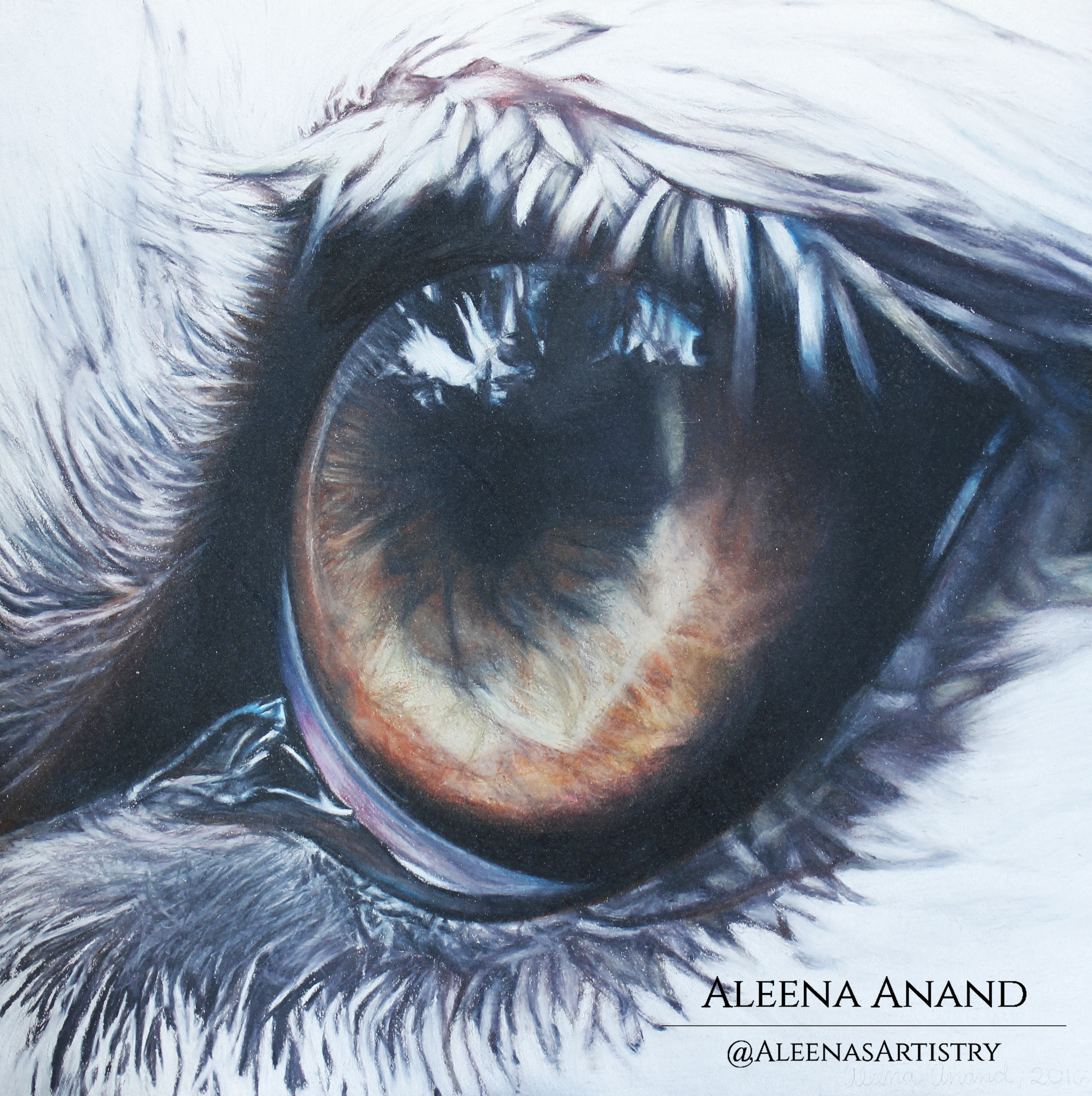 “Lunar” (10 x 10 inches, Colored Pencil on Paper)